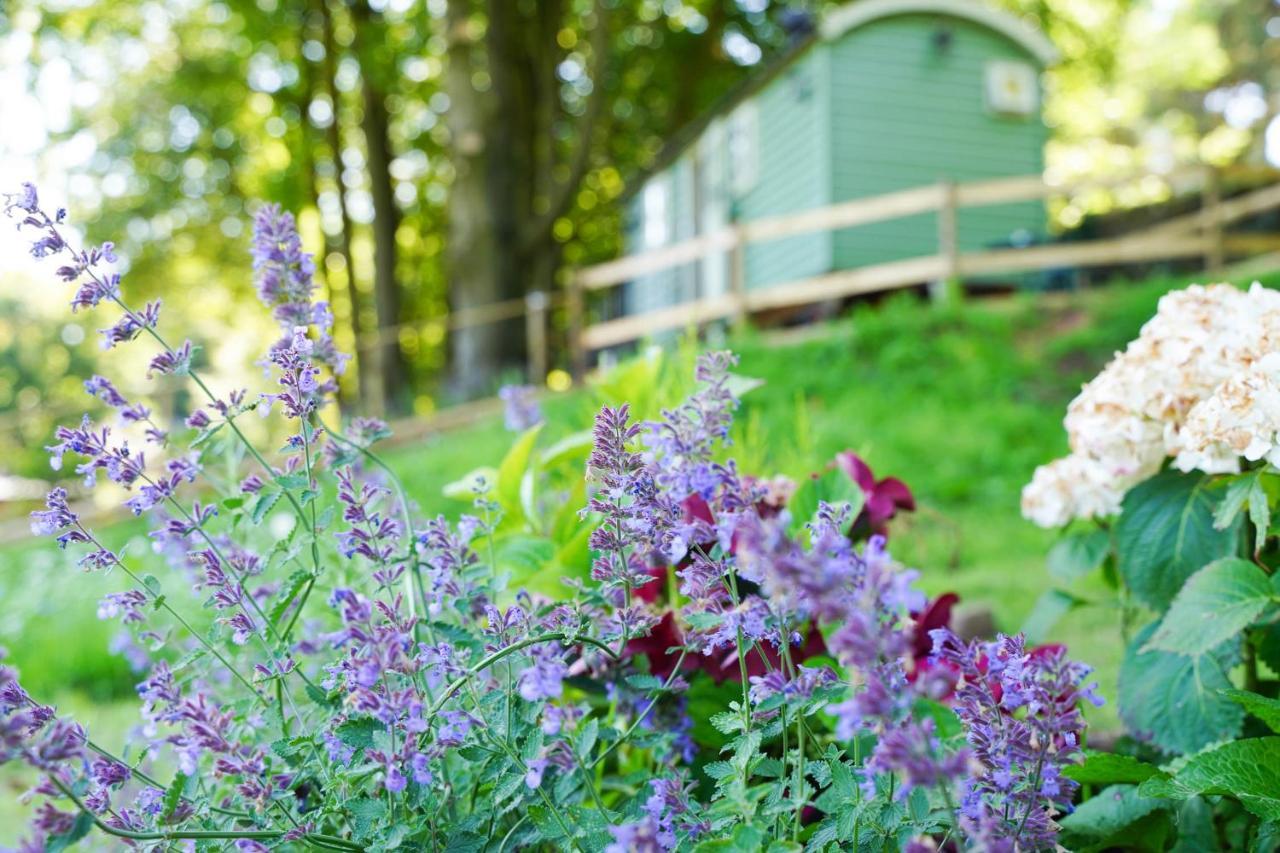 Гостевой дом Lavender Retreat With Private Hot Tub Upper Hulme Экстерьер фото
